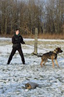 /album/a28-januara-2015/hax-zamat-28012015-04-jpg/